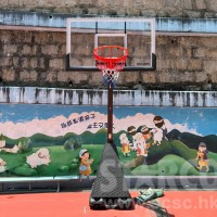 STARCO BKR27A 輕裝籃球架 (大籃板款)
